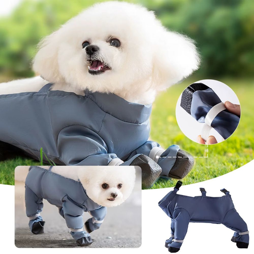 Bottes pour chien avec bretelles – pour poussière ou neige pour chien stylé et fonctionnel