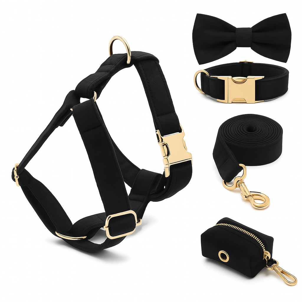 Ensemble d’accessoires pour chien – Élégance et confort au quotidien