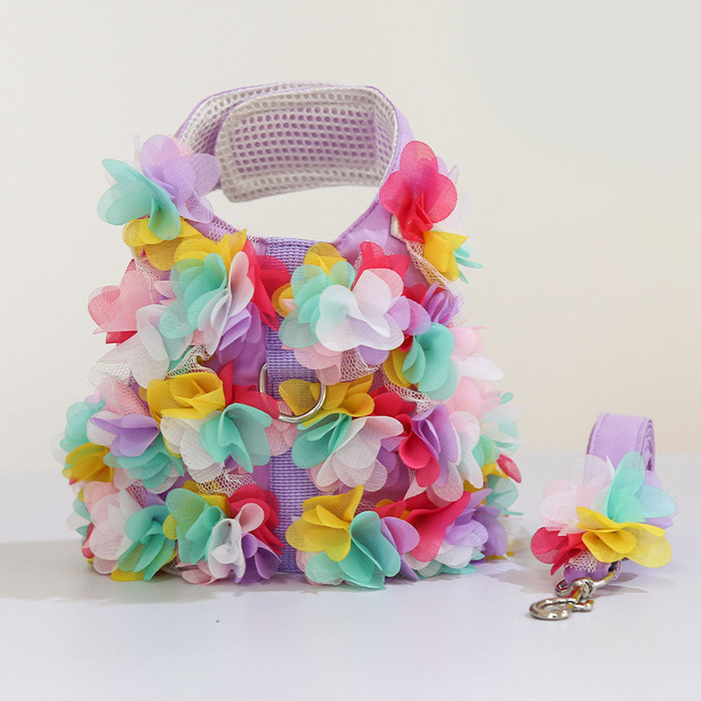 Harnais petit Chien | Queeny