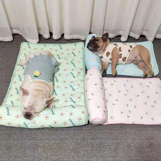 Tapis rafraichissant chien - Happy