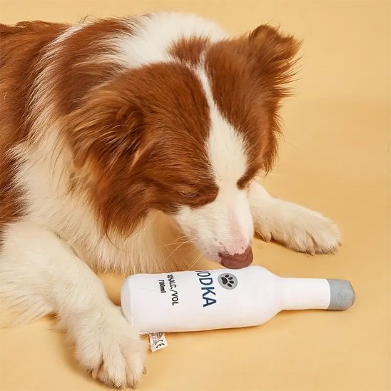 Jouet pour chien
