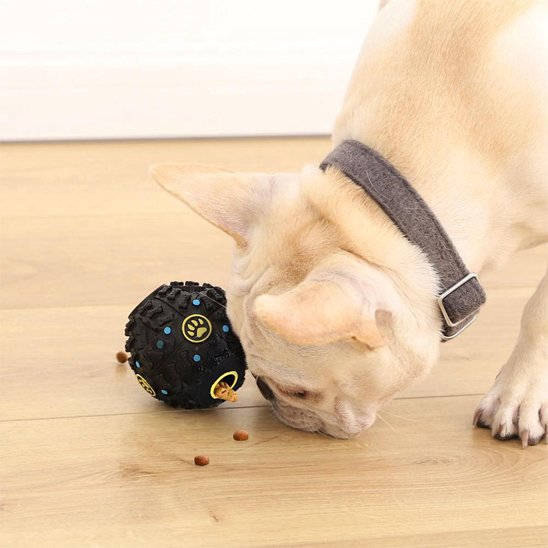 Coffret Sensoriel et Gourmandise pour Chien Curieux | Stimulez, Occupez et Régalez ( 4 Pièces )