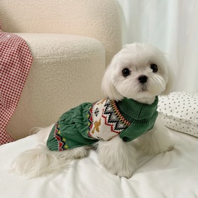 Pull pour Chien