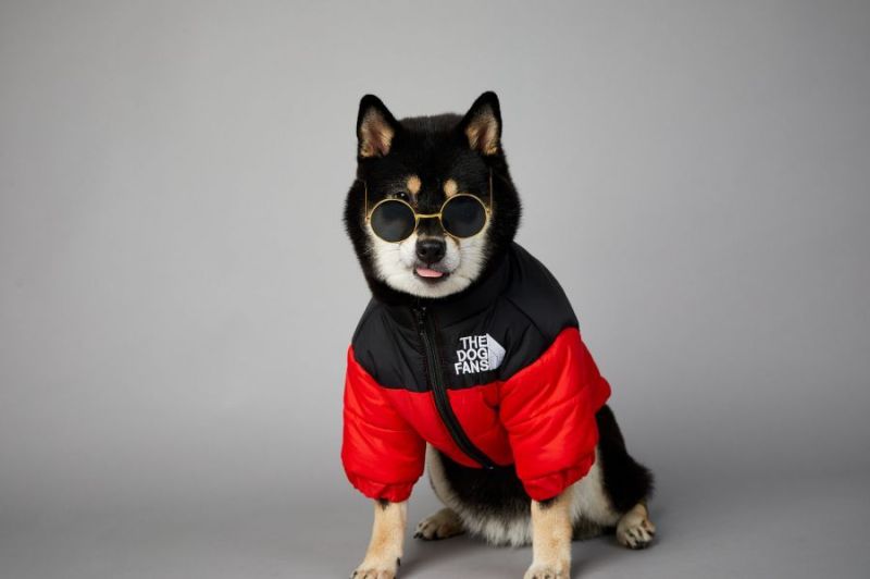Manteau pour Chien - La Doudoune Urbaine
