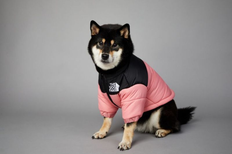 Manteau pour Chien - La Doudoune Urbaine