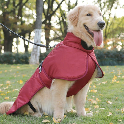 Manteau Hiver pour Grand Chien | Imperméable, Chaud et Ajustable