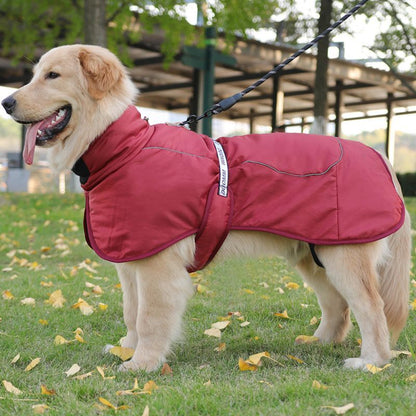 Manteau Hiver pour Grand Chien | Imperméable, Chaud et Ajustable