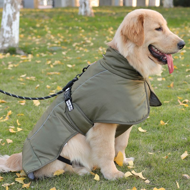 Manteau Hiver pour Grand Chien | Imperméable, Chaud et Ajustable