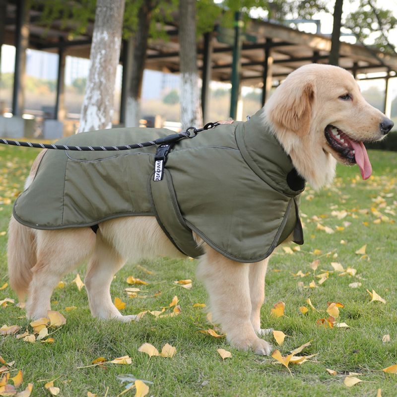 Manteau Hiver pour Grand Chien | Imperméable, Chaud et Ajustable