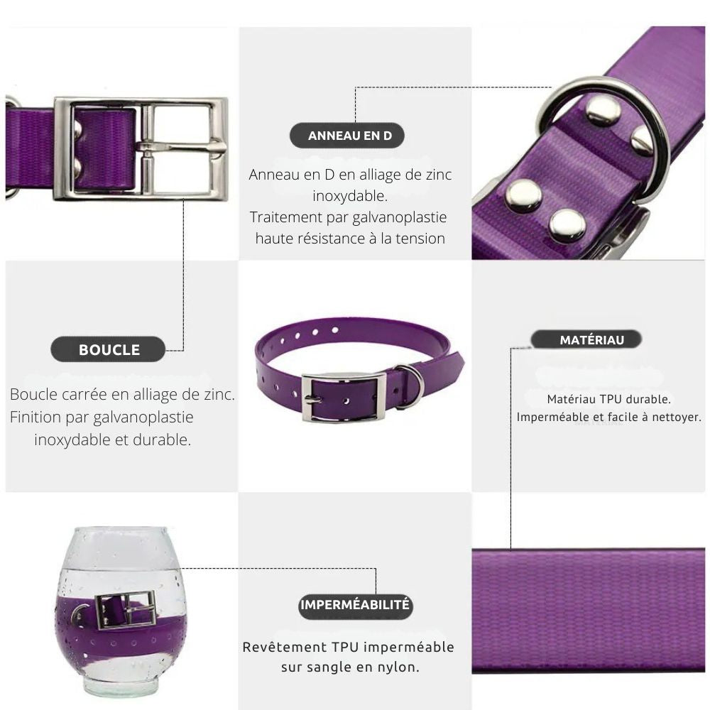 Collier chien Robuste - Terra-Flex