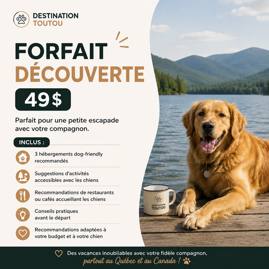 Forfait Découverte