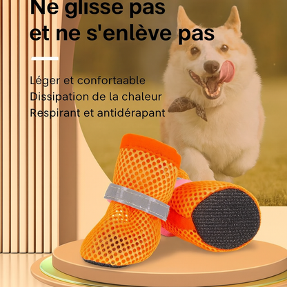 Chaussures chien |respisantes