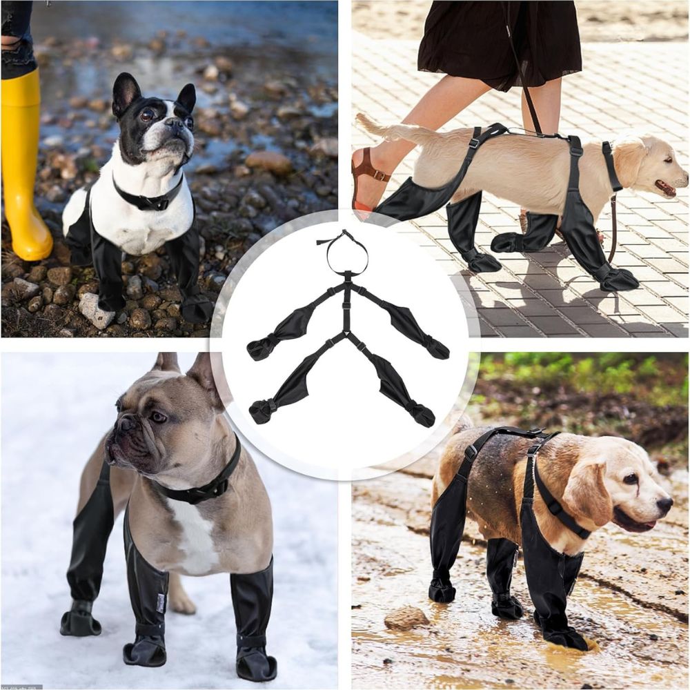 Bottes pour chien | Hautes