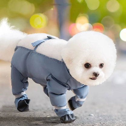 Bottes pour chien avec bretelles – pour poussière ou neige pour chien stylé et fonctionnel