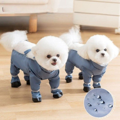 Bottes pour chien avec bretelles – pour poussière ou neige pour chien stylé et fonctionnel