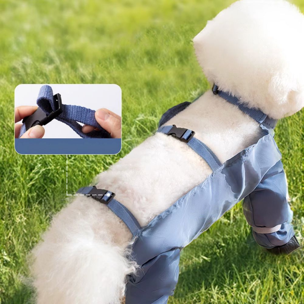 Bottes pour chien avec bretelles – pour poussière ou neige pour chien stylé et fonctionnel