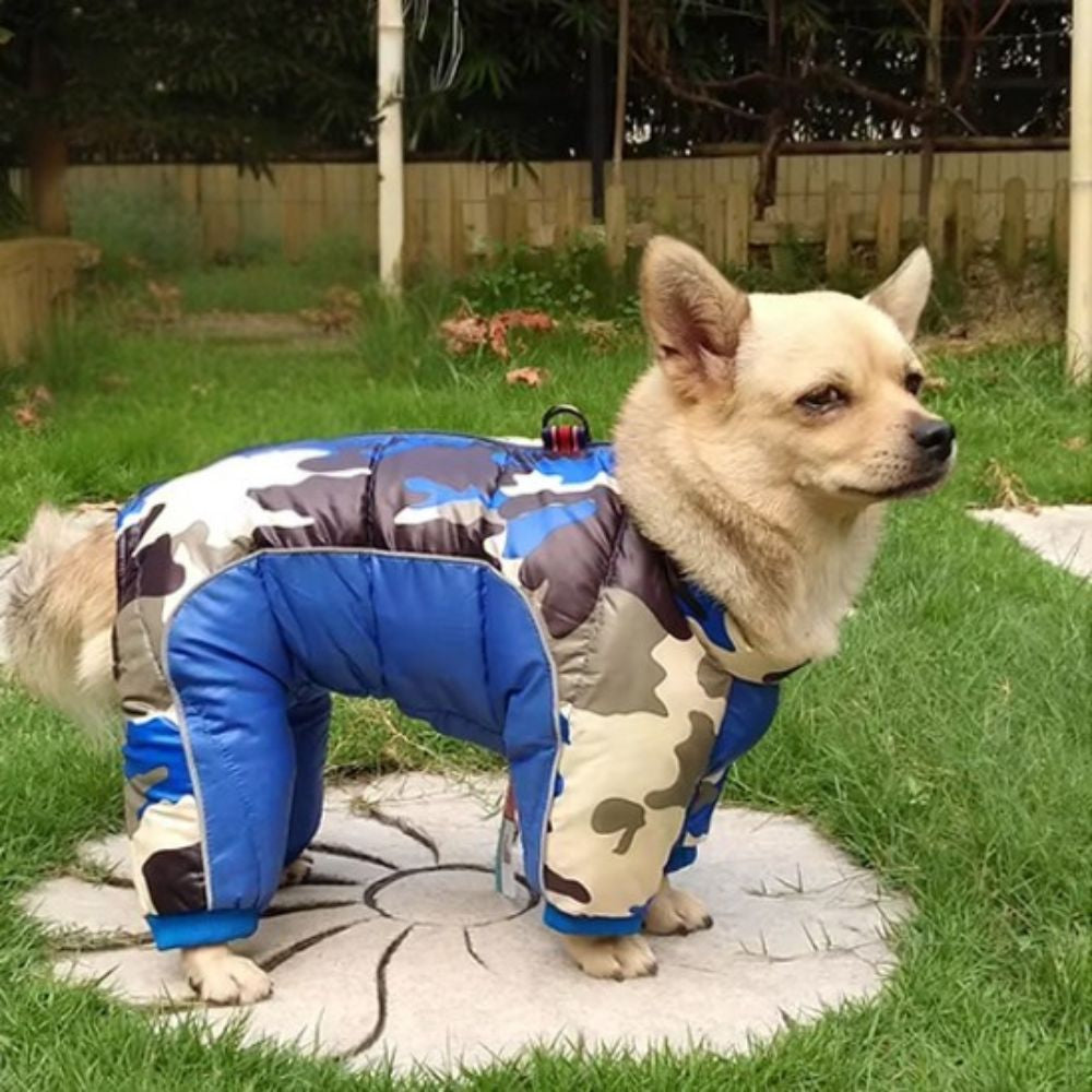 Manteau pour chien avec protection intégrale, rembourrage thermique et tissu déperlant - Manteau ArcticShield™