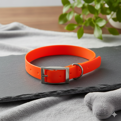 Collier chien Robuste - Terra-Flex
