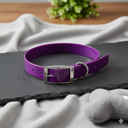 Collier chien Robuste - Terra-Flex