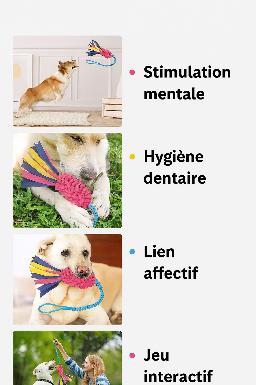 Jouet Intelligemment Masticable pour Chien – Stimule l’Esprit & Nettoie les Dents
