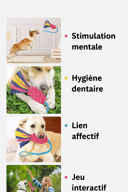 Jouet Intelligemment Masticable pour Chien – Stimule l’Esprit & Nettoie les Dents