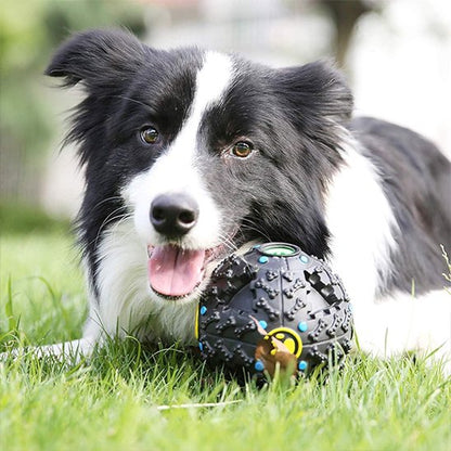 Jouet pour chien : indispensable compagnon de jeu de votre fidèle ami  Votre chien tourne en rond