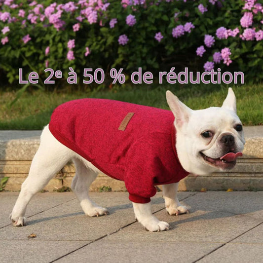 Pull pour Chien Izzy™ : Élégance et Confort
