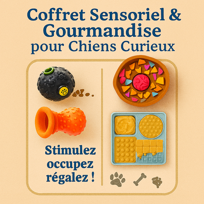 Coffret Sensoriel et Gourmandise pour Chien Curieux | Stimulez, Occupez et Régalez ( 4 Pièces )