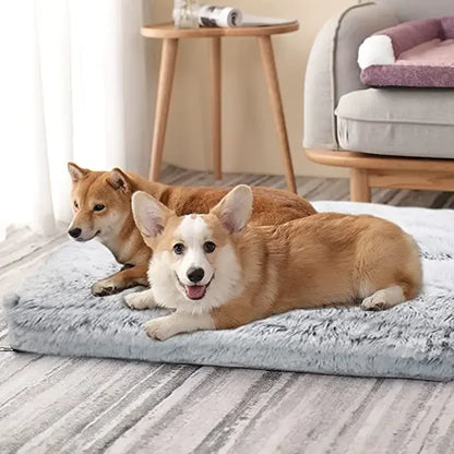 Le Tapis Chien SweetDream™: Confort, Durabilité et Éco-Responsabilité