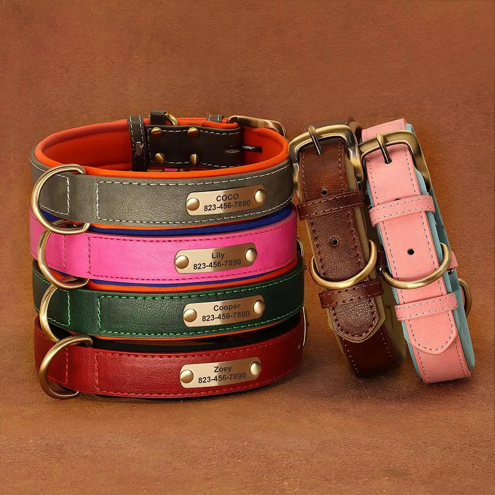 Collier Pour chien Personnalisé - Sweet