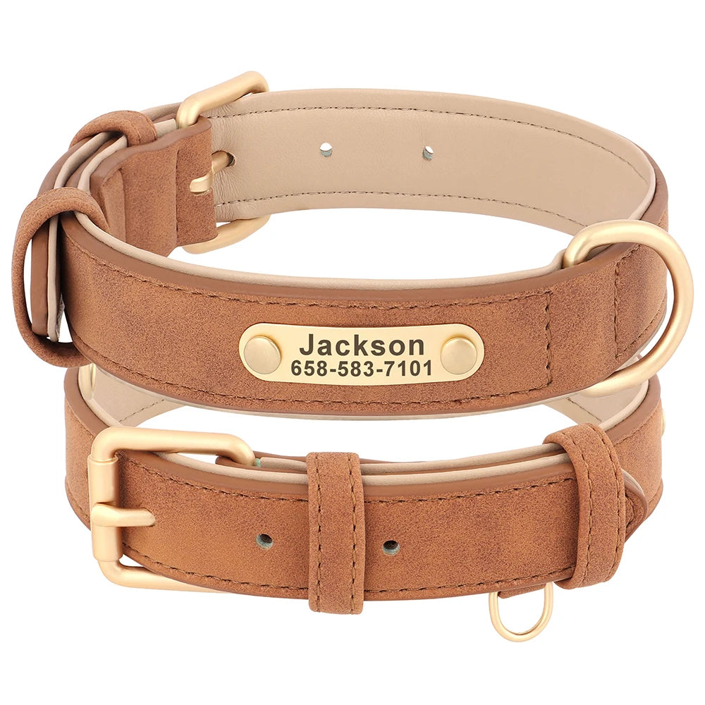 Collier Pour chien Personnalisé - Sweet