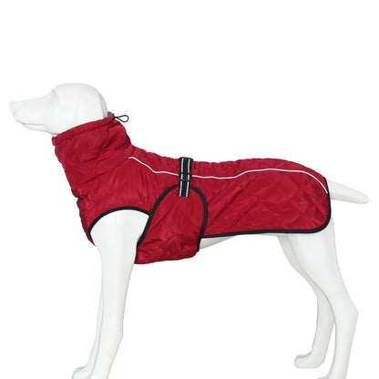 Manteau pour Chien | Hivernal