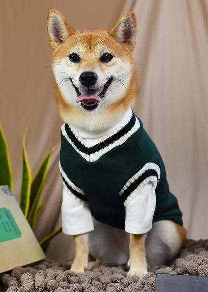 Pull pour Chien | Écolier