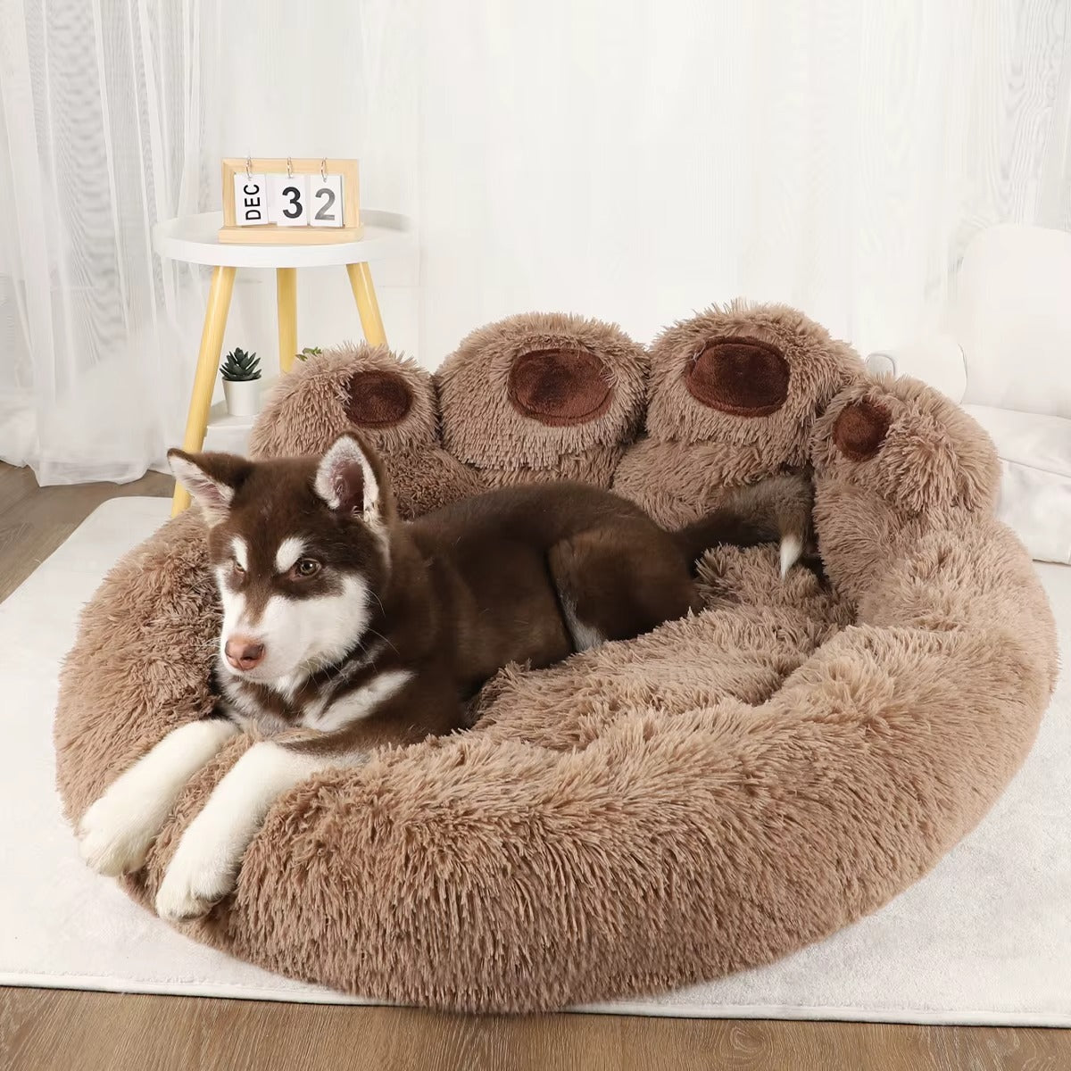Panier pour Chien - Lit Patte d'Ours Apaisant Peluche Ultra-Doux (Lavable)