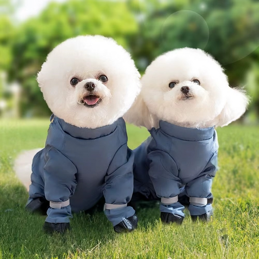 Bottes pour chien avec bretelles – pour poussière ou neige pour chien stylé et fonctionnel