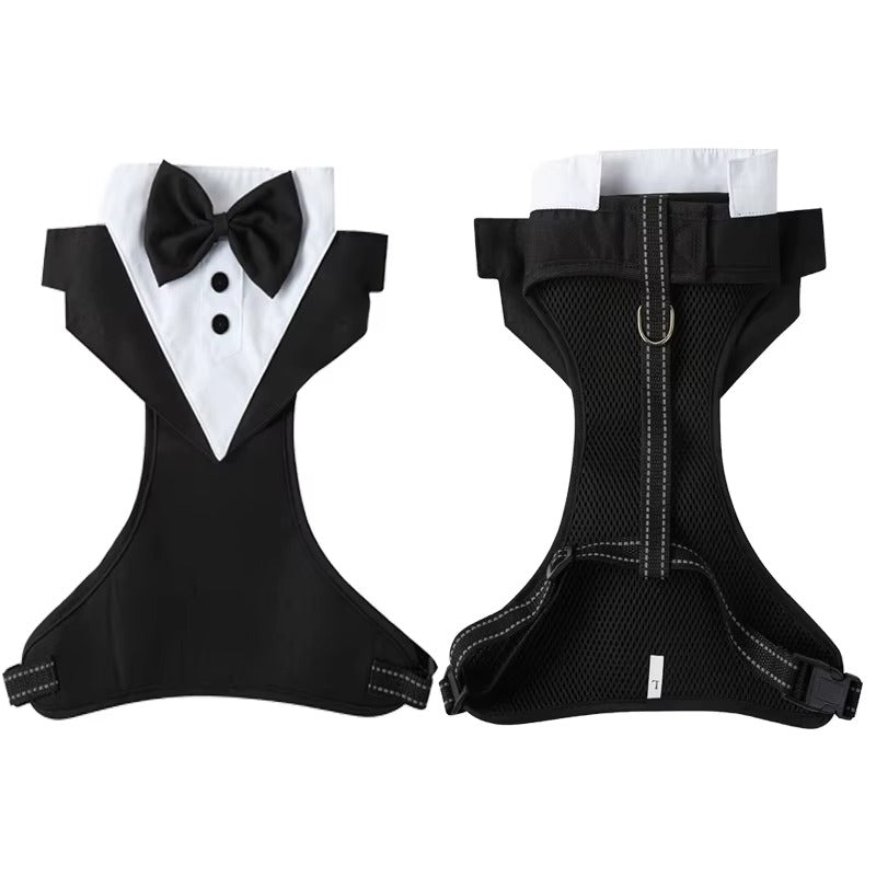 Harnais pour chien cérémonie – Le tuxedo qui fait sensation