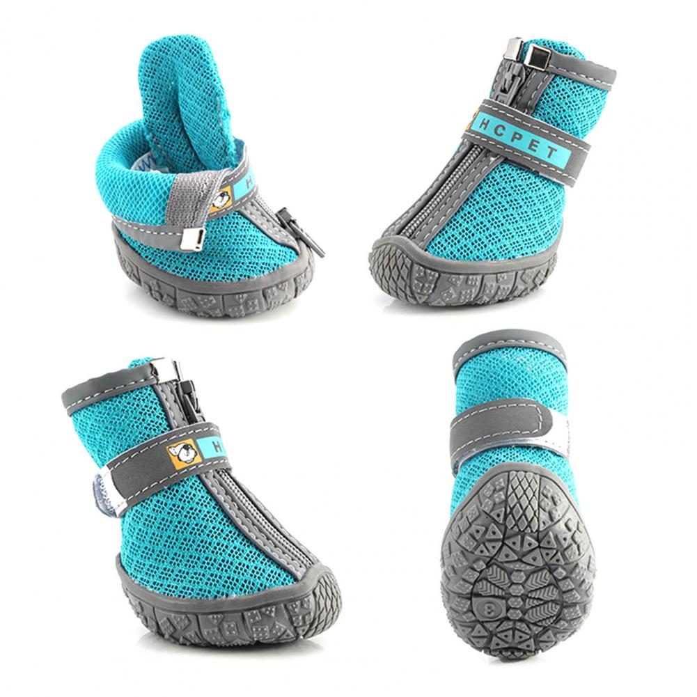 Chaussure Chien | Soft