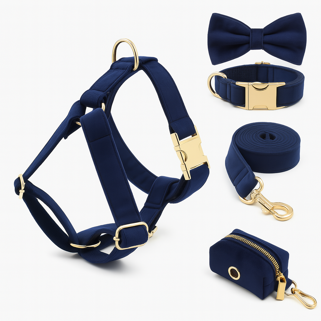 Coffret Élégance Teal pour Chien – Cadeau Chic pour Noël