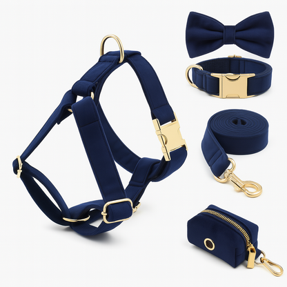 Coffret Élégance Teal pour Chien – Cadeau Chic pour Noël