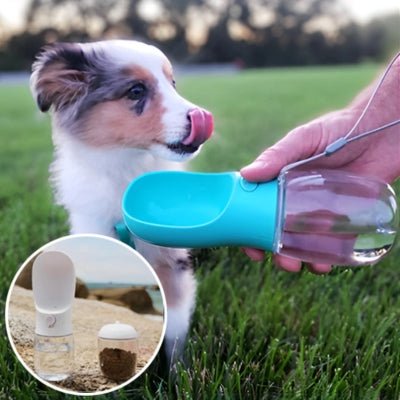 Bouteille pour chien 2 en 1 - AquaBouf™ - Le monde de Philo