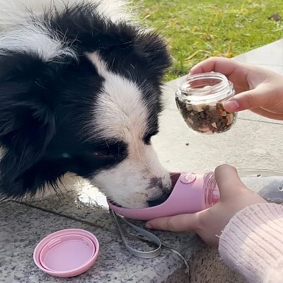 Bouteille pour chien 2 en 1 - AquaBouf™ - Le monde de Philo