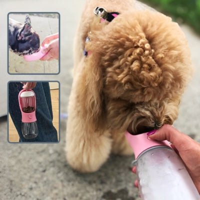 Bouteille pour chien 2 en 1 - AquaBouf™ - Le monde de Philo