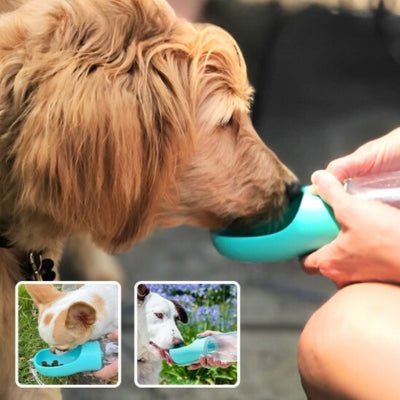 Bouteille pour chien 2 en 1 - AquaBouf™ - Le monde de Philo