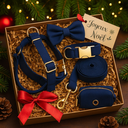 Coffret Élégance Teal pour Chien – Cadeau Chic pour Noël