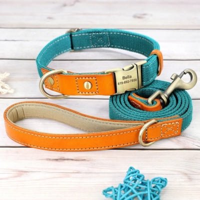Collier pour Chien Personnalisé avec sa laisse - Match - Le monde de Philo