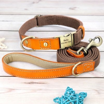 Collier pour Chien Personnalisé avec sa laisse - Match - Le monde de Philo