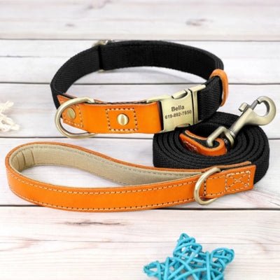 Collier pour Chien Personnalisé avec sa laisse - Match - Le monde de Philo
