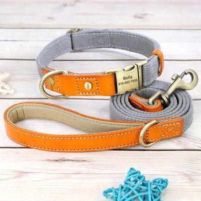Collier pour Chien Personnalisé avec sa laisse - Match - Le monde de Philo