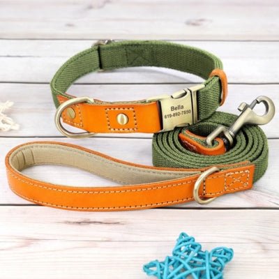 Collier pour Chien Personnalisé avec sa laisse - Match - Le monde de Philo