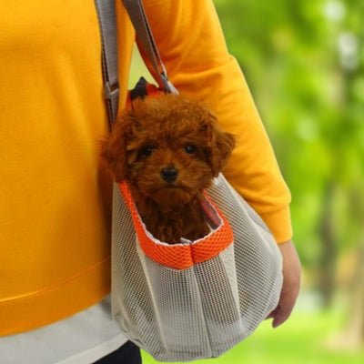 Ebook Gratuit - Sac de Transport pour Chien Mini™ - Le monde de Philo